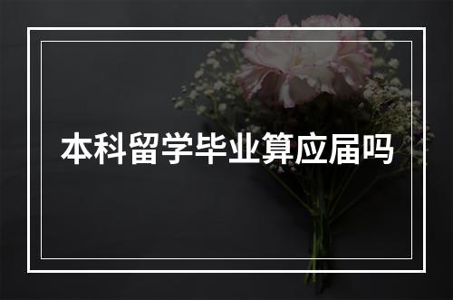 本科留学毕业算应届吗