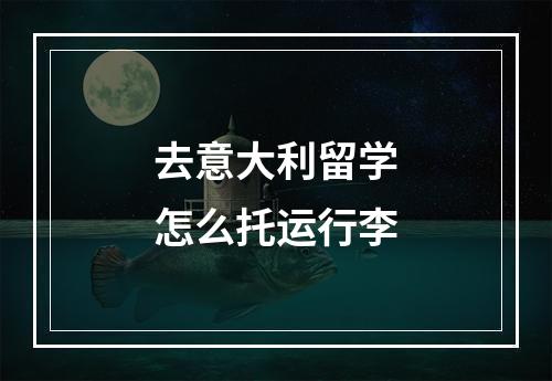 去意大利留学怎么托运行李