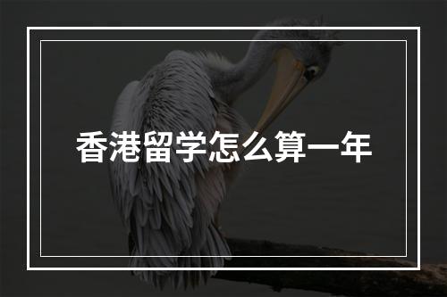 香港留学怎么算一年