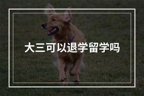 大三可以退学留学吗