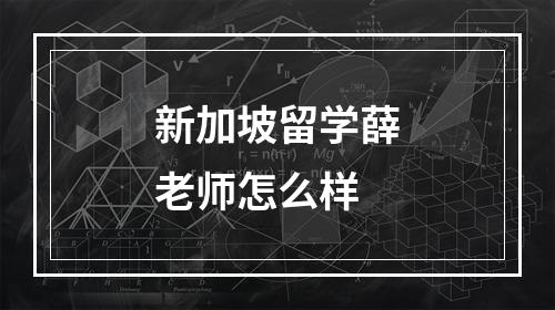 新加坡留学薛老师怎么样