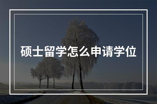 硕士留学怎么申请学位