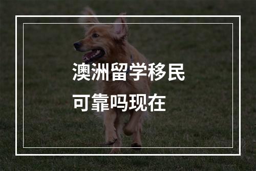 澳洲留学移民可靠吗现在