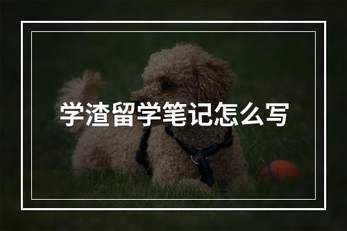 学渣留学笔记怎么写