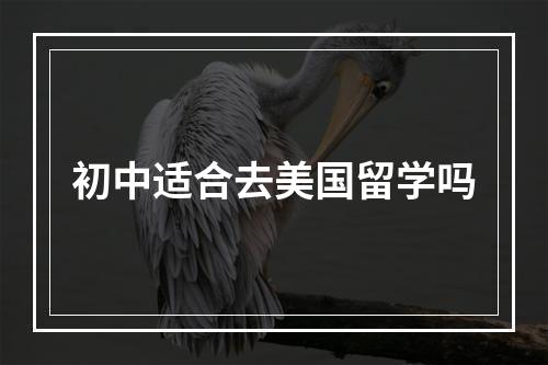 初中适合去美国留学吗