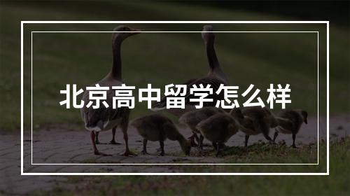 北京高中留学怎么样