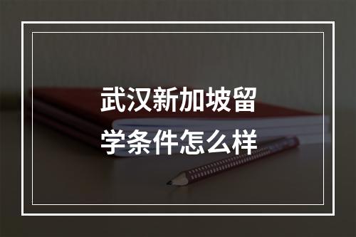 武汉新加坡留学条件怎么样