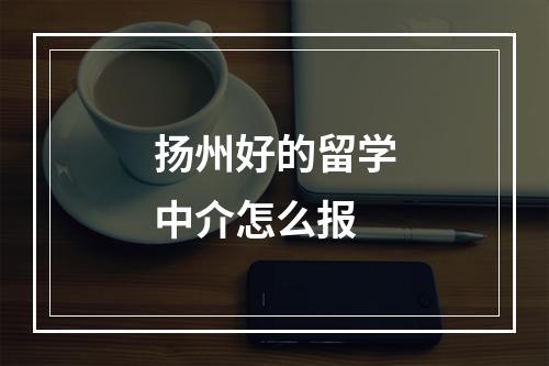 扬州好的留学中介怎么报