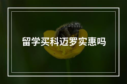 留学买科迈罗实惠吗