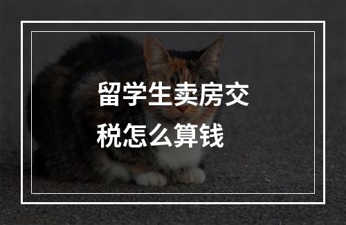 留学生卖房交税怎么算钱