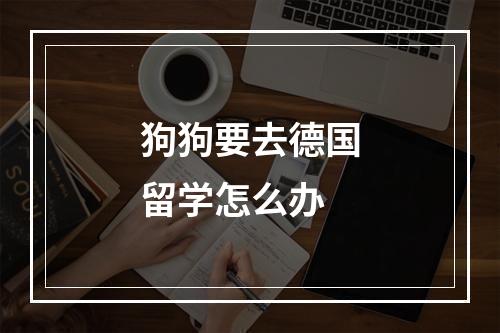 狗狗要去德国留学怎么办