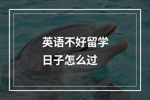 英语不好留学日子怎么过