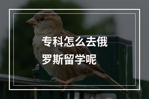 专科怎么去俄罗斯留学呢