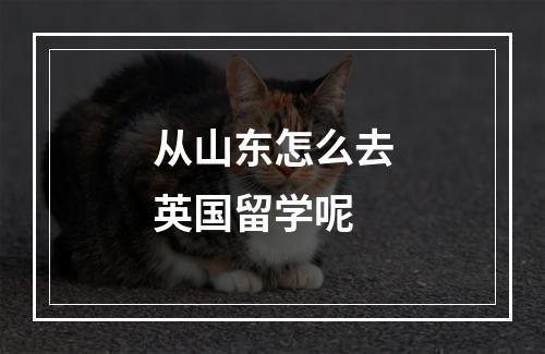 从山东怎么去英国留学呢