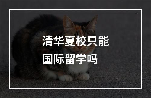 清华夏校只能国际留学吗