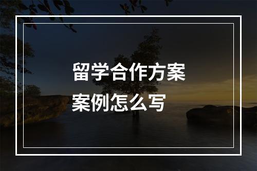 留学合作方案案例怎么写