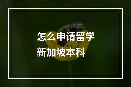 怎么申请留学新加坡本科