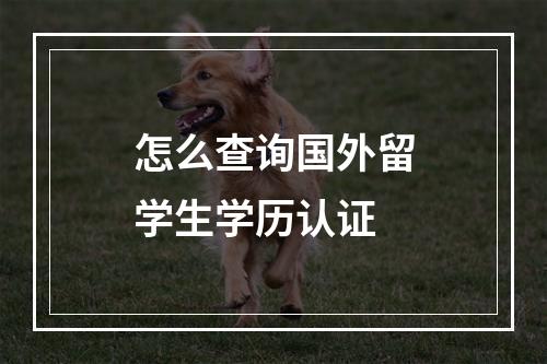 怎么查询国外留学生学历认证