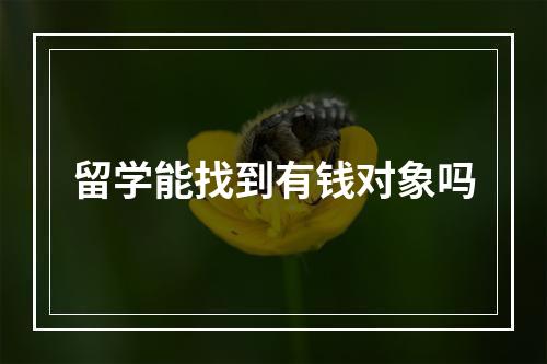 留学能找到有钱对象吗