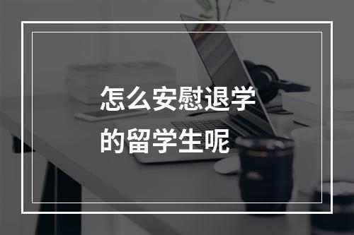 怎么安慰退学的留学生呢