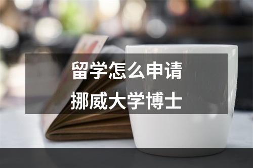 留学怎么申请挪威大学博士