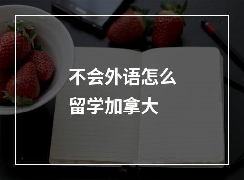 不会外语怎么留学加拿大