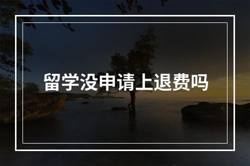 留学没申请上退费吗