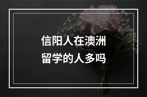 信阳人在澳洲留学的人多吗