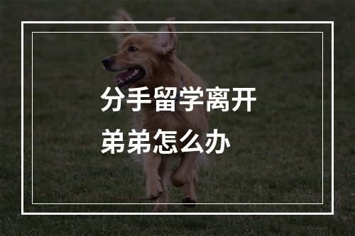 分手留学离开弟弟怎么办