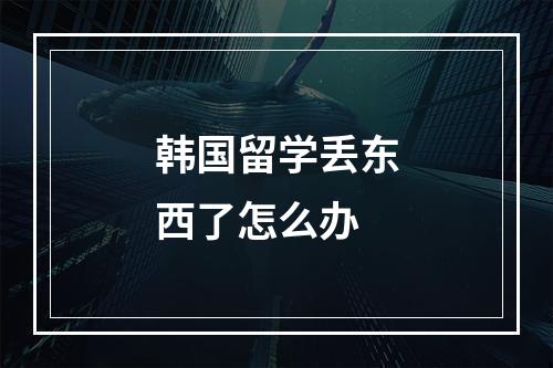 韩国留学丢东西了怎么办