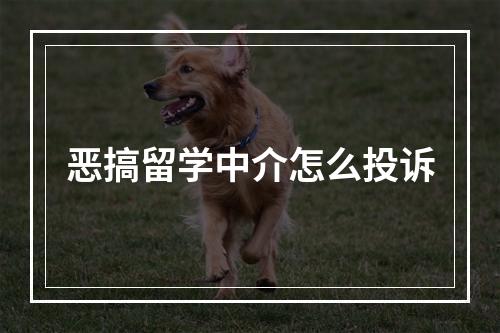 恶搞留学中介怎么投诉