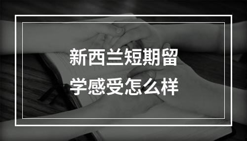 新西兰短期留学感受怎么样