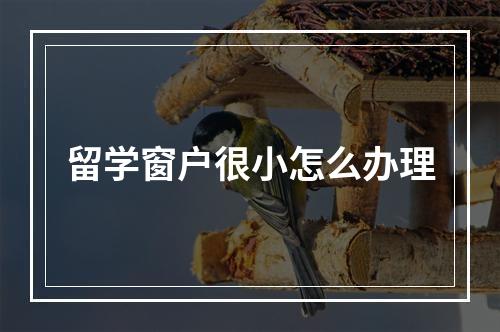 留学窗户很小怎么办理