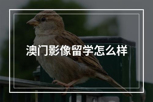 澳门影像留学怎么样