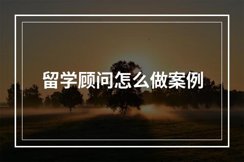 留学顾问怎么做案例