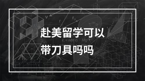 赴美留学可以带刀具吗吗