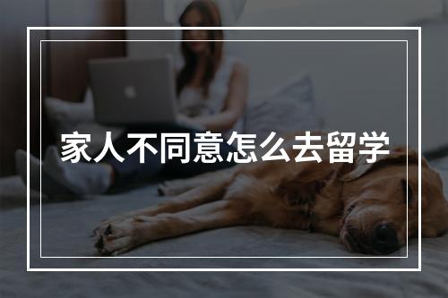 家人不同意怎么去留学