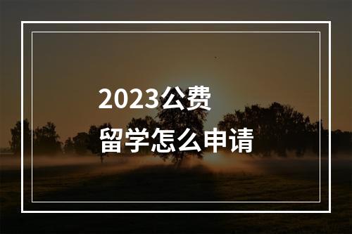 2023公费留学怎么申请