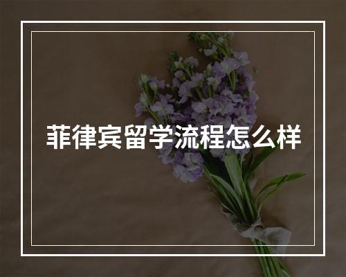 菲律宾留学流程怎么样