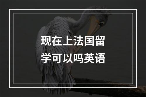 现在上法国留学可以吗英语