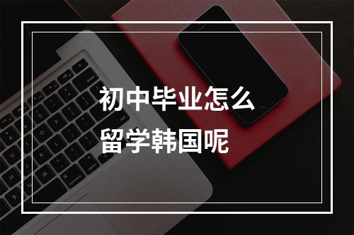 初中毕业怎么留学韩国呢