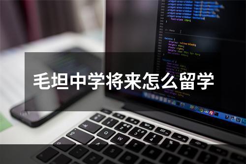 毛坦中学将来怎么留学