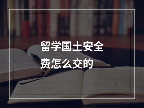 留学国土安全费怎么交的