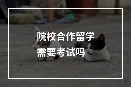 院校合作留学需要考试吗