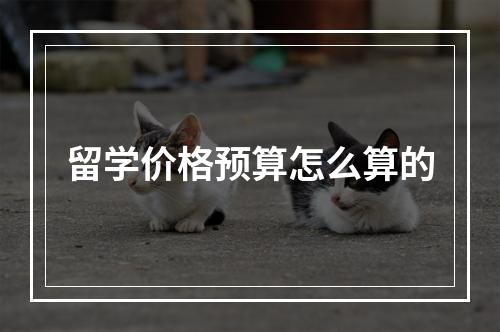 留学价格预算怎么算的