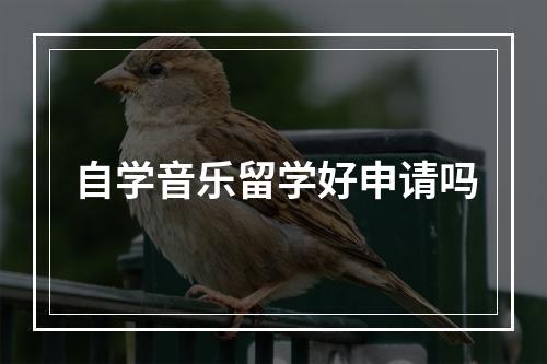 自学音乐留学好申请吗