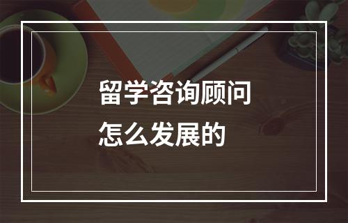 留学咨询顾问怎么发展的