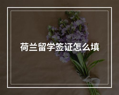 荷兰留学签证怎么填