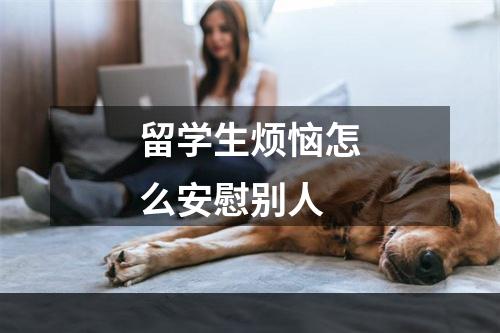 留学生烦恼怎么安慰别人