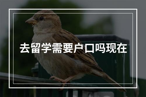 去留学需要户口吗现在